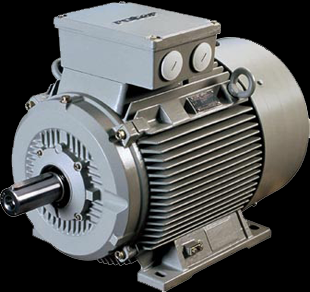มอเตอร์ไฟฟ้า Rotor (Netherlands)